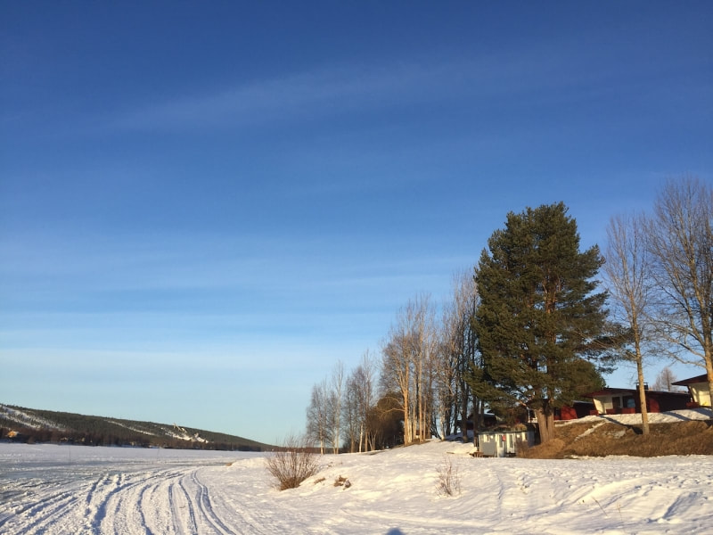 Napapiirin Saarituvat Rovaniemi