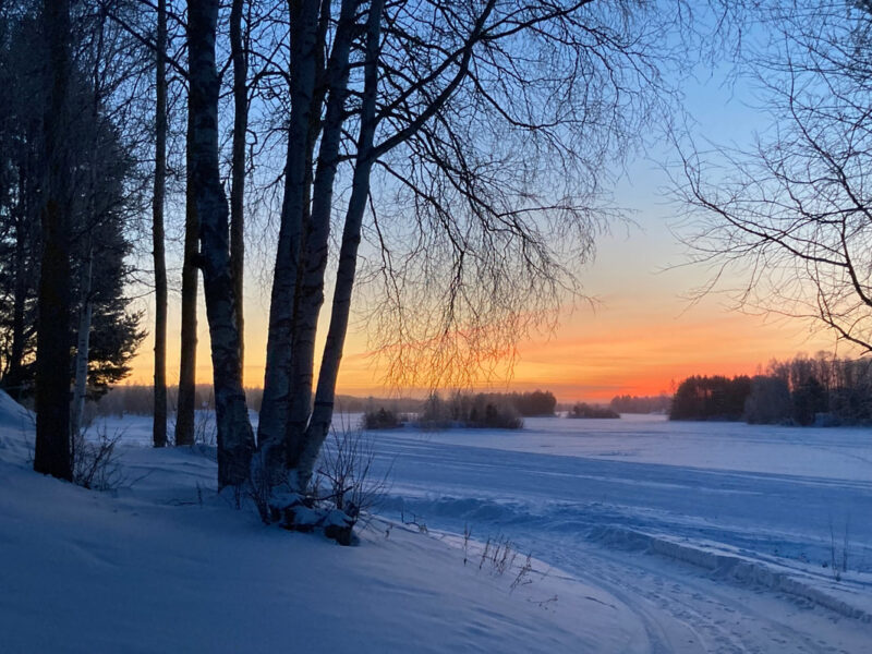 Napapiirin Saarituvat Rovaniemi