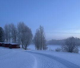 Napapiirin Saarituvat