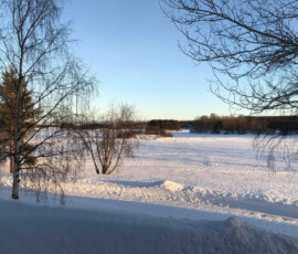 Majoitus Rovaniemi